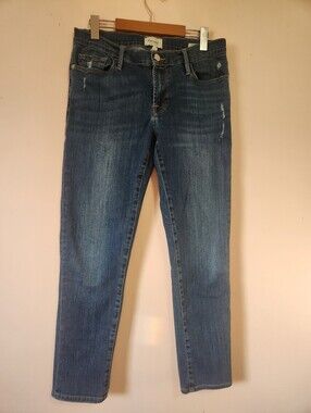FRAME Le Garçon Slim Boyfriend Jeans in Lupine Grind Blue Distressed Size 28 EUC
